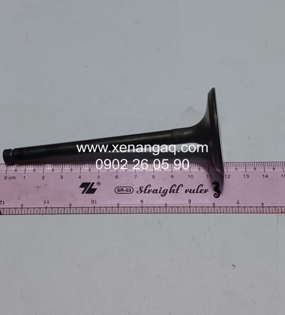 13201-1W400 Xupap nạp QD32